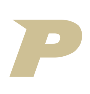 Prime_Website-P-gold-1 Prime_Website-P-gold-1