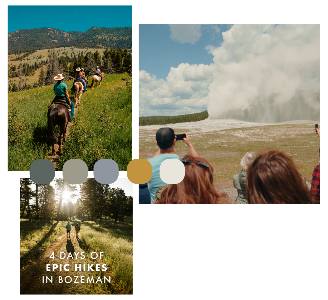 prime-web-Visit-Bozeman-case-study-image-2-1 prime-web-Visit-Bozeman-case-study-image-2-1